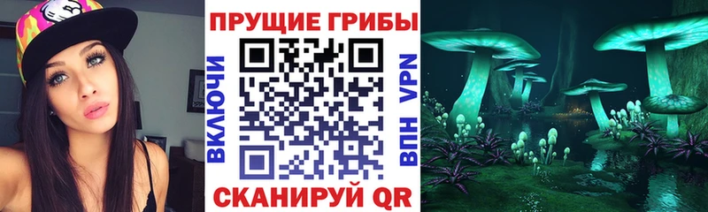 Галлюциногенные грибы Magic Shrooms  Купить закладки  Галич 